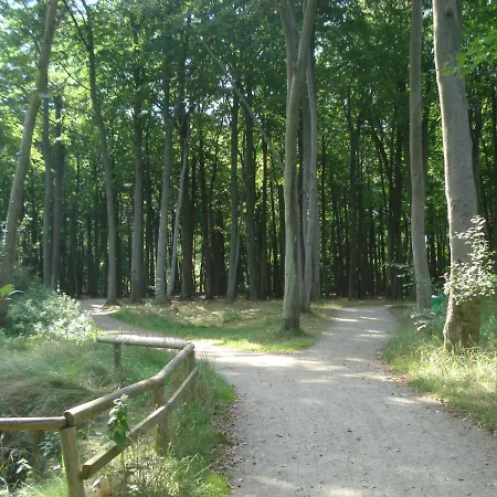 Kuestenwald - Nordwind * Muritz