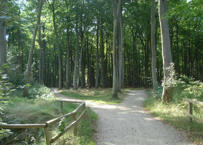 Küstenwald - Nordwind * Muritz